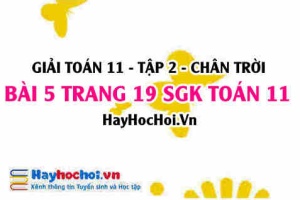 Bài 5 trang 19 Toán 11 tập 2 Chân trời sáng tạo